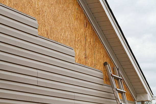 Best Engineered Wood Siding  in Richton, MS